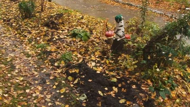 Украли деревья смотреть онлайн