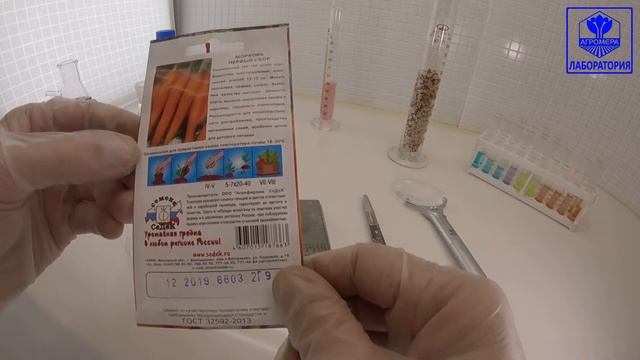 Морковь Первый Сбор. СеДеК смотреть онлайн