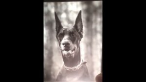 Как изготовить литофан с голографическим эффектом из цветной фотографии. Часть 1 - Результат.