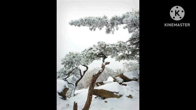 눈 김효근 작사,곡 / 김우경 김승직 테너처럼 불러보기/ 박광소 테너겸 바리톤 더욱 멋지게 ,,,, смотреть онлайн