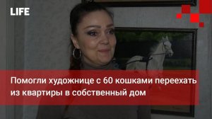 Помогли художнице с 60 кошками переехать из квартиры в собственный дом