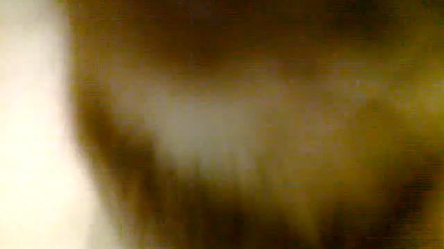 Кошка валяется в ванной смотреть онлайн