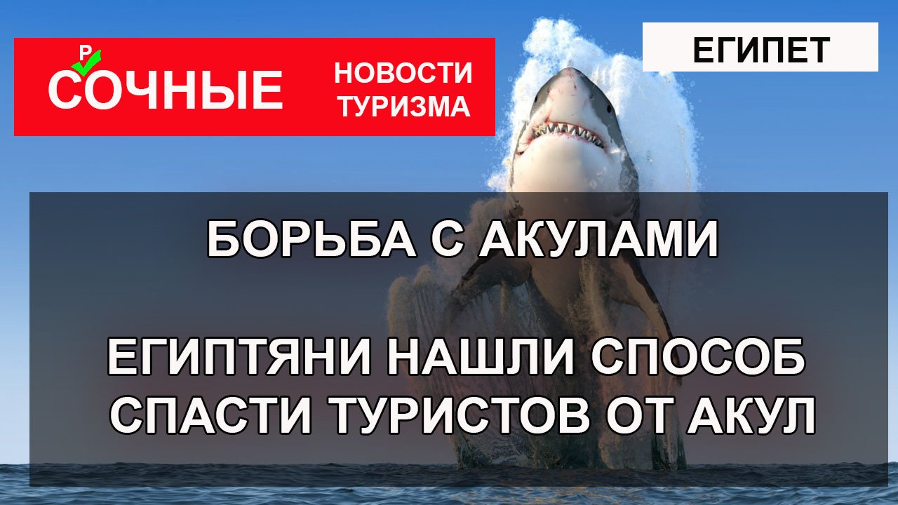 ЕГИПЕТ 2023| БОРЬБА С АКУЛАМИ. Египтяне нашли способ спасти туристов от акул