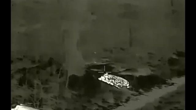 Termovize InfiRay Geni GL35R - hog hunting?? смотреть онлайн