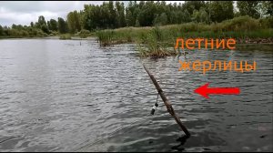 РЫБАЛКА НА ПОСТАВУШКИ. самоловка. СКОЛЬКО ЖЕ ЭТОГО ОКУНЯ в этой траве. Ловля окуня  щуки среди травы