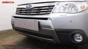 Защита радиатора PREMIUM SUBARU FORESTER III 2008-2011г.в. (Черный) - strelka11.ru