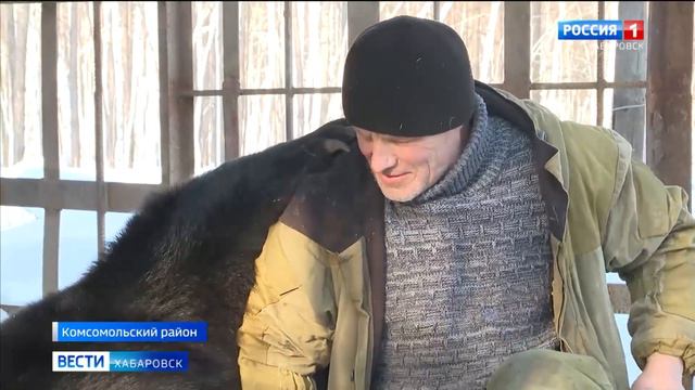 Судьбу медвежат, рождённых на ферме в Комсомольском районе, решат в суде смотреть онлайн