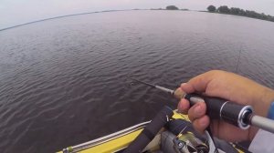 Стая окуня на экране эхолота humminbird helix.