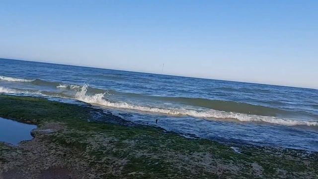 Вечерняя рыбалка на берегу Каспийского моря. смотреть онлайн