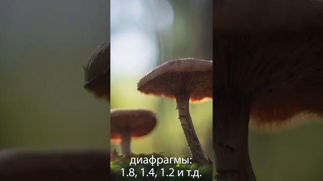 Слишком резкие фотографии. В чём причина?