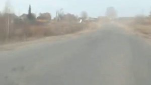 Дорога п.Крутец Островский район