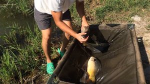Рыбалка в Крыму 24.08.2021 Строгоновка