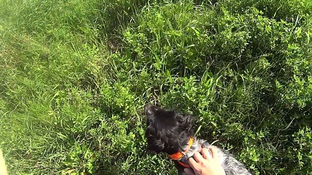 Melba de la Plaine Marat открытие 2020 смотреть онлайн