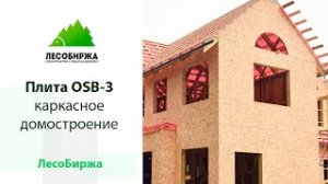 Какой ОСП (OSB) подходит для строительства каркасного дома