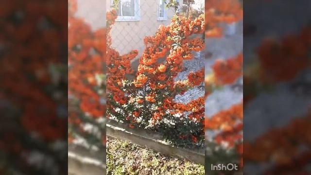 Привет с Тимашевска (Краснодарский край )