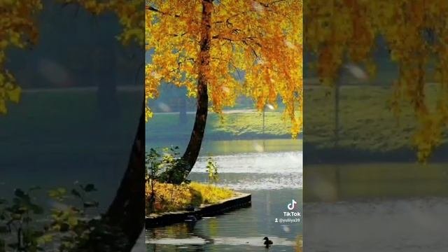 Музыкальная открытка