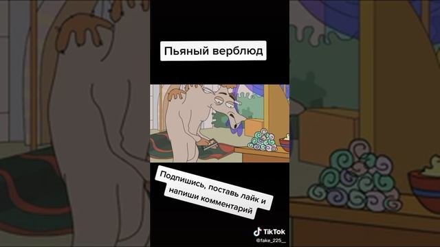 Анимационные приколы:пьяный верблюд