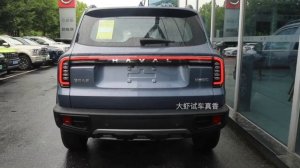 [Prawn Immersive Test Drive] 24 models of Haval Big Dog