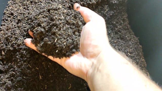 ЧЕРВЬ ДЕНДРОБЕНА УШЕЛ РАСТИ В ОТДЕЛЬНЫЕ ЯЩИКИ смотреть онлайн