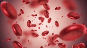 КАК ПАРАЗИТЫ ПРЯЧУТСЯ В ОРГАНИЗМЕ ЧЕЛОВЕКА?