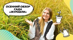 Обзора сада Журавли в октябре |  Ландшафтный дизайн | Ирис болотный | Аконит | Тимьян