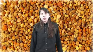 Прополис, лечебные свойства