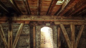 Это поможет сохранить груши на зиму