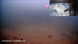 Работа ВИБА ПОД ВОДОЙ. РЕАКЦИЯ РЫБЫ. ПОДВОДНЫЕ СЪЕМКИ. Работа эхолота при ловле на виб. #OnlySpin