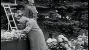 Я сегодня до зари встану.mp4