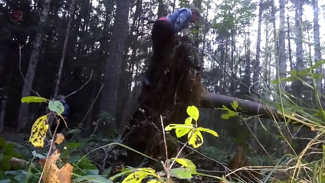 коряга 4 в лесу туризм и спорт смотреть онлайн