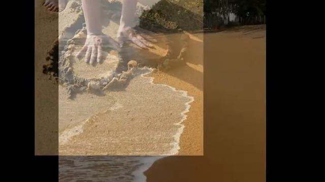 Шри-Ланка-2012(Ваддува).wmv смотреть онлайн