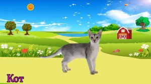 животные для детей живые - животные для детей смотреть | BonBi TV