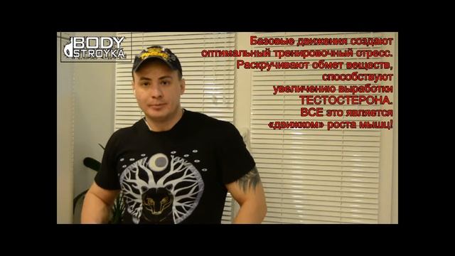 Тренировочная программа Основные понятия для ее составления Как выбрать упражнения для мышц смотреть онлайн