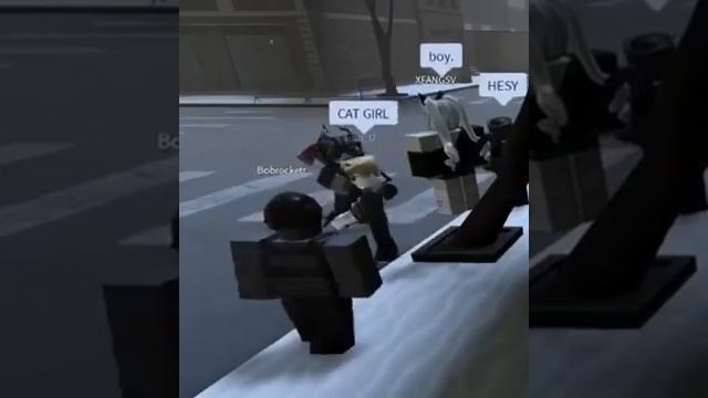 Hey Cat Girl Boy. Roblox  Meme