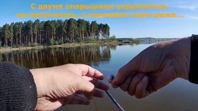 Как задать темп в ловле уклейки