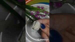 Глина Белая Лесная башкирская Глина Астана Казахстанская