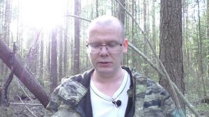 Шекспир, сонет 125