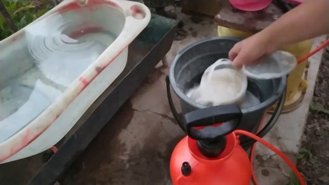 Листокрутка на чёрной смородине Обработка смотреть онлайн