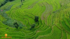 Pokhara City Drone View by Day Tours Nepal | Things to see and do in Pokhara City | Pokhara Tourism