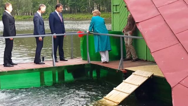 Владимир Груздев подарил тулякам две пары белых лебедей смотреть онлайн