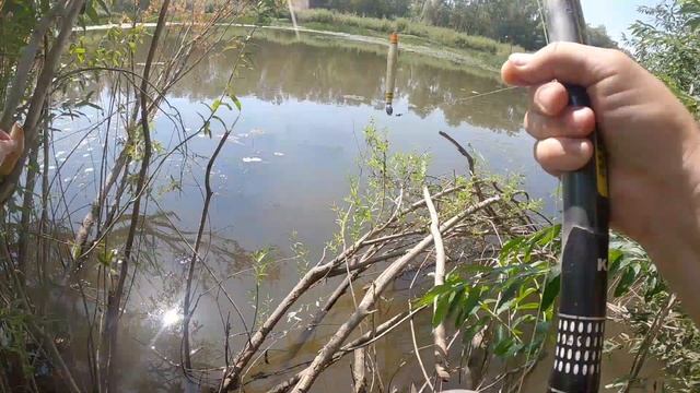 За раками ? по буеракам и кустам/Поход выходного дня к реке Сакмара смотреть онлайн