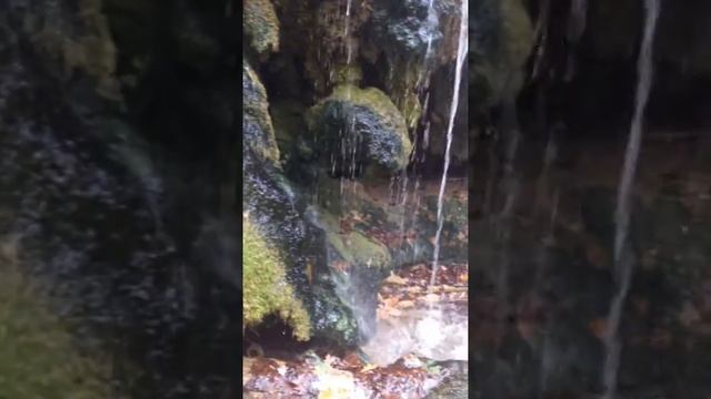 Травертиновый родник и водопад в Русском лесу