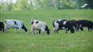 Achievements of the Baltic Sea Region Programme 2007-2013