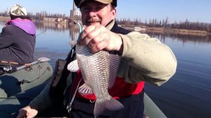 Карась на спиннинг. Рыбалка весной на Старобешево.
