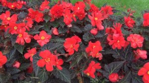 Отпуск. Беларусь!