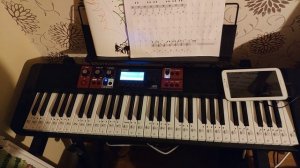 Casio CT-S1000V plays midi files #1