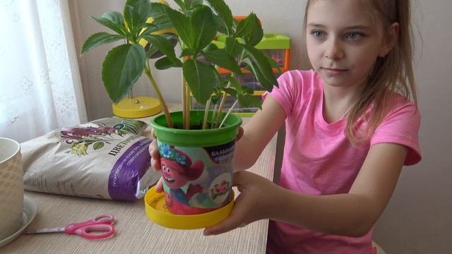Набор для выращивания #вырастименя #СадТроллей