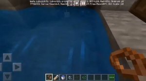 Как приручить дельфина в Майнкрафте