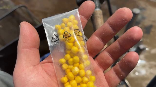 ⚠️ СЕКРЕТНАЯ ДОБАВКА❗️Лещи в ШОКЕ! Фидер в Киеве ? Клюют ЛЕЩИ ? НХНЧ! смотреть онлайн