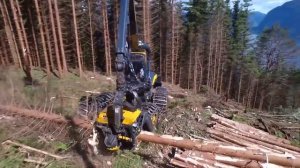 Экстремальная техника. Как финские парни косят лес.